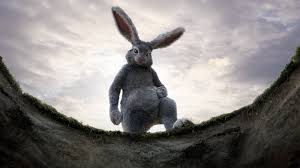 Rabbit hole